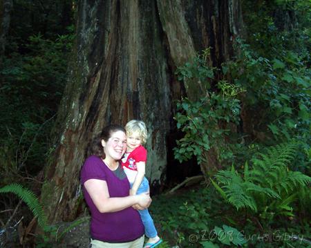 2008 California Vacation - Sarah and Audrey in Redwood National Park