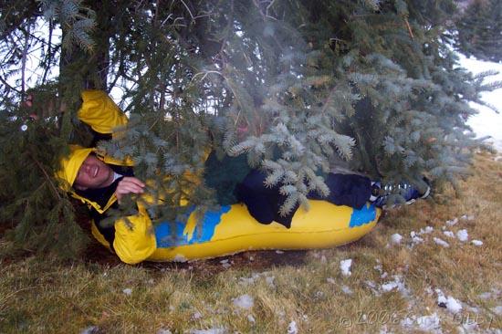 Byron Shefchik se estrella con un arbol