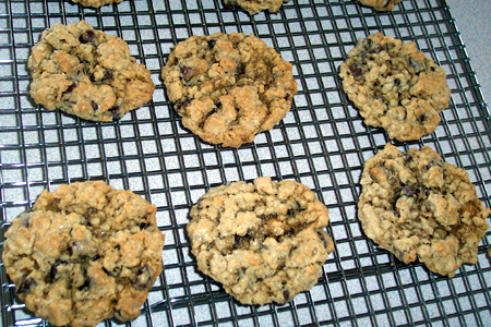 The Best Oatmeal Cookies