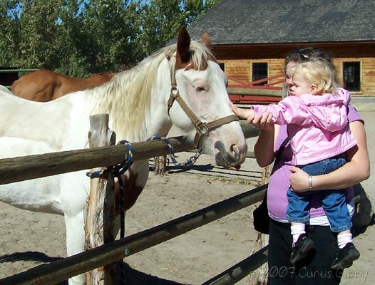 Wheeler Farm - Sarah and Audrey pet a horse