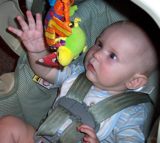 Nathan reaches for a toy (5 1/2 months)