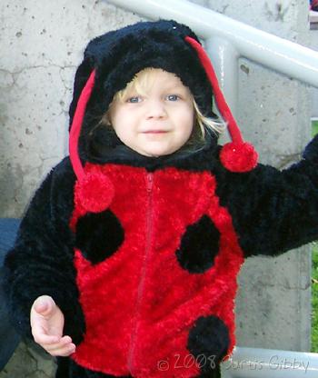 Halloween 2008 - Audrey dressed as a ladybug
