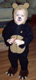 View - Halloween 2007 - Audrey dressed as a nice bear