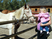 View - Wheeler Farm - Sarah and Audrey pet a horse